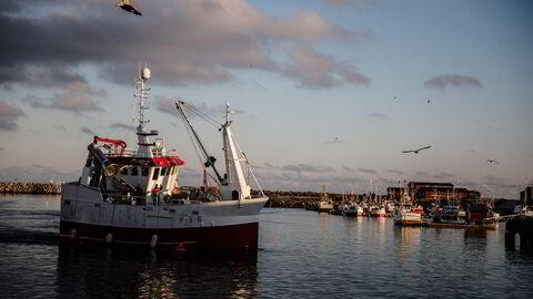Men mer enn i noen annen bransje gjelder det i fiskeriforvaltning å sette tæring etter næring, skriver Geir Huse og Bjarte Bogstad.